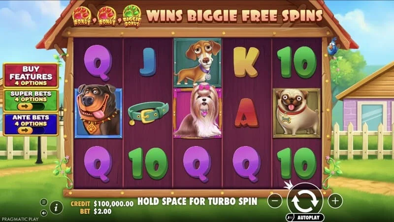 The Big Dog House – pagrindinis ekranas su būgnais